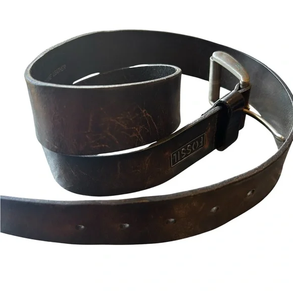 Fossil Belt - Picture 2 of 4